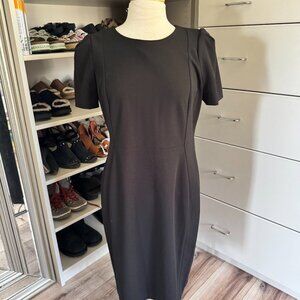 Calvin Klein Shift Dress with Gold back zipper